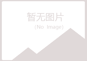 白银平川水瑶制造有限公司